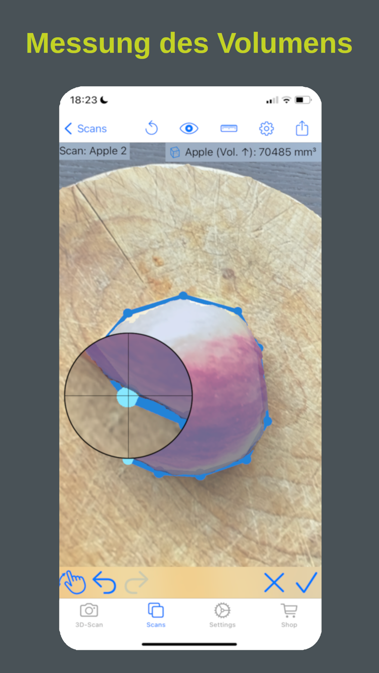 Dornheim 3D Scanner