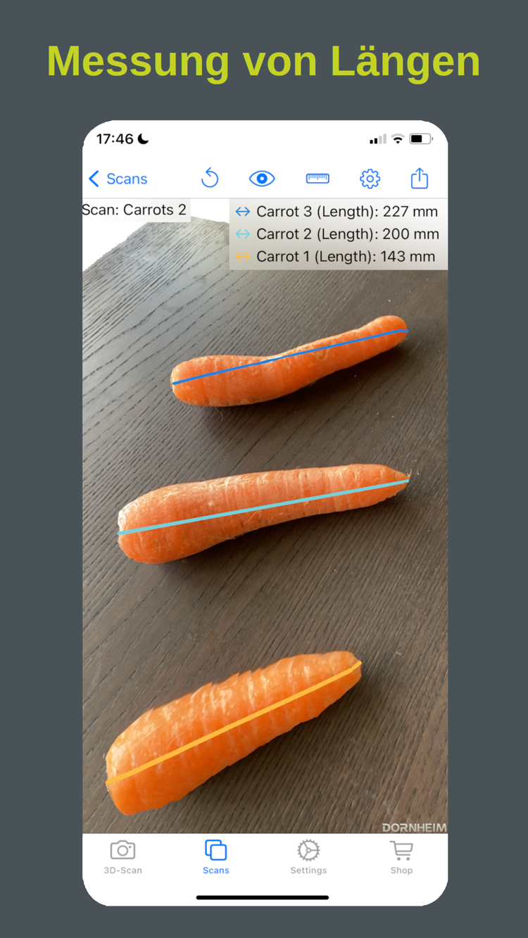 Dornheim 3D Scanner – Messung von Längen
