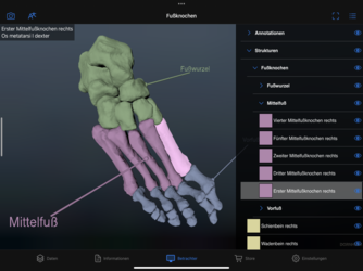 Dornheim Real Anatomy Screenshot 4