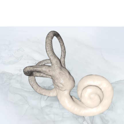 Interaktive 3D-Visualisierung